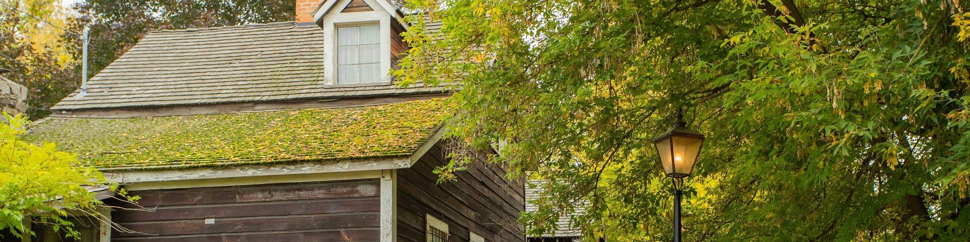 A wooden cabin with a moss-covered roof, a wooden porch, and a street lamp.