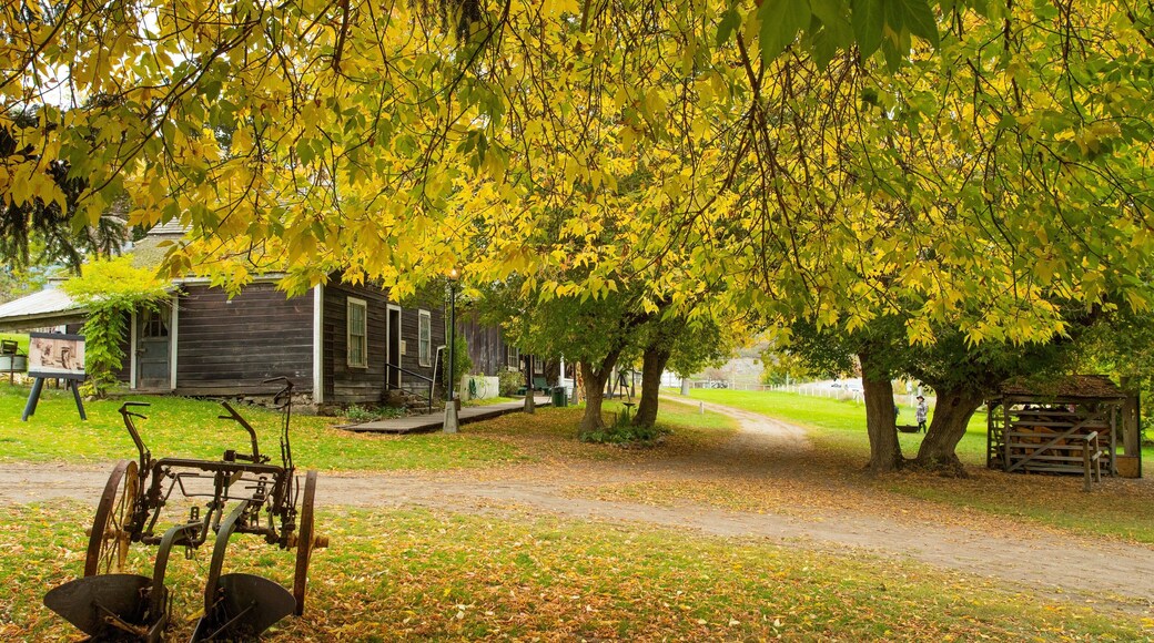 Historic O\'Keefe Ranch showing farmland, fall colors and a small town or village