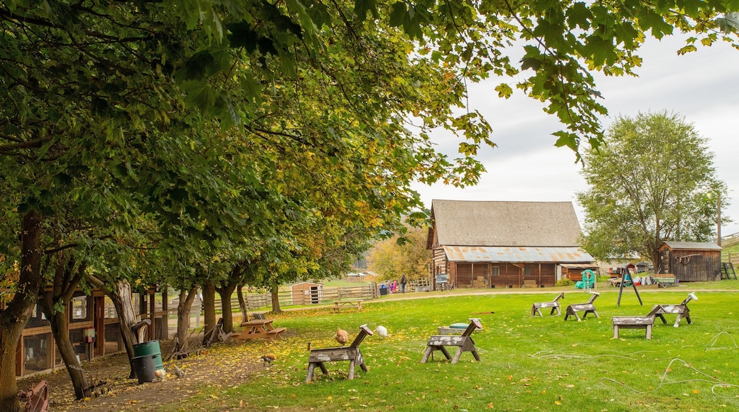 Historic O\'Keefe Ranch which includes farmland and a park