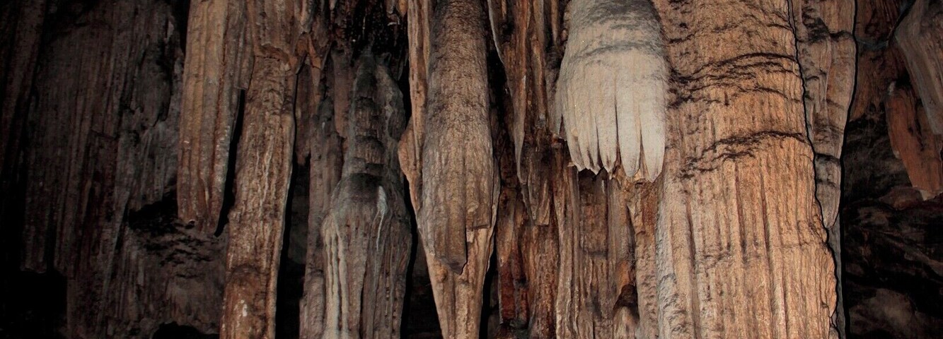 nhĆ© ÄĂĄ trong Äá»ng tĂč thĂșc xĂŁ nga thiá»n nga sÆĄn thanh hĂła viá»t nam