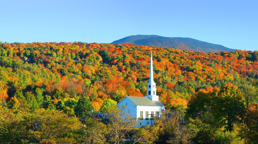 District historique de Stowe Village