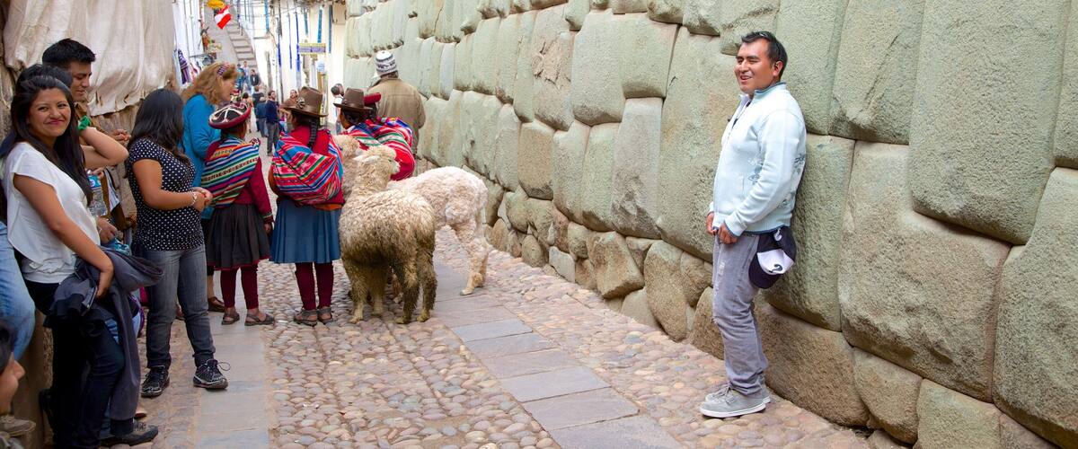 Hatunrumiyoc showing street scenes, cuddly or friendly animals and land animals