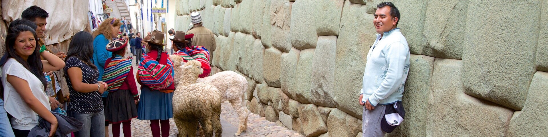 Hatun Rumiyoc que inclui animais fofos ou amigáveis, animais terrestres e cenas de rua
