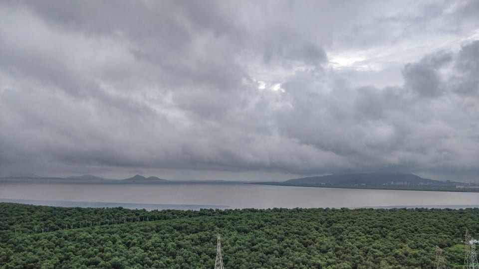 Vashi Creek, Navi Mumbai, Maharashtra, India