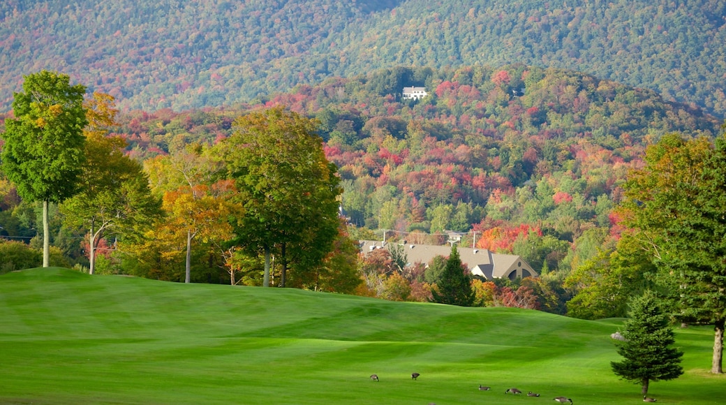 Killington Golf Course which includes forests and landscape views
