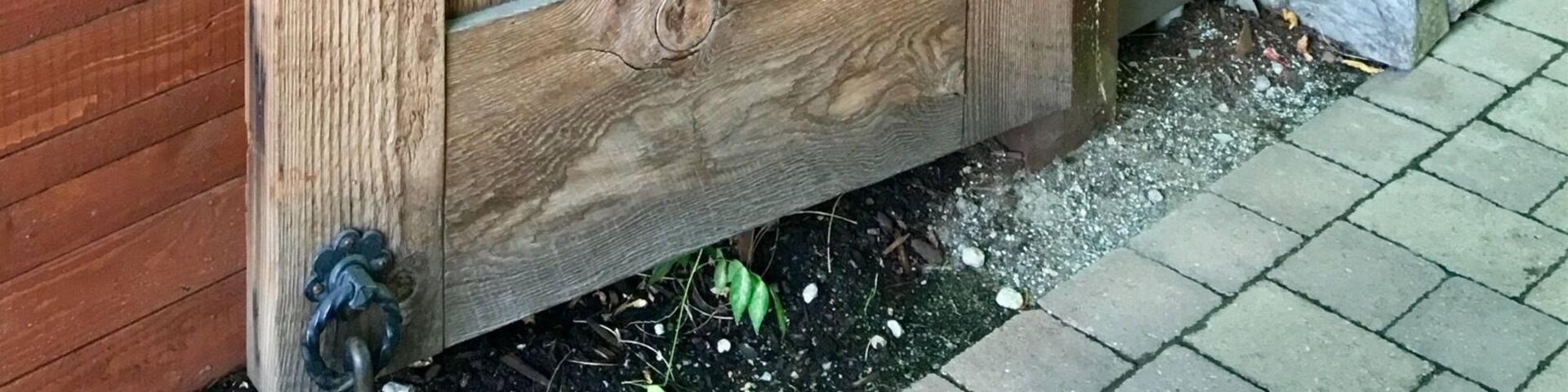 Entry to patio at Dirty Laundry Vineyard in Summerland, BC.
#BritishColumbia #doors
#winery
(Sept 2017)