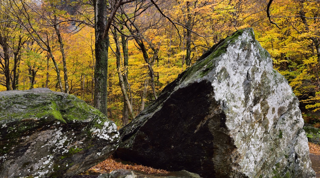 走私者峡谷州立公园