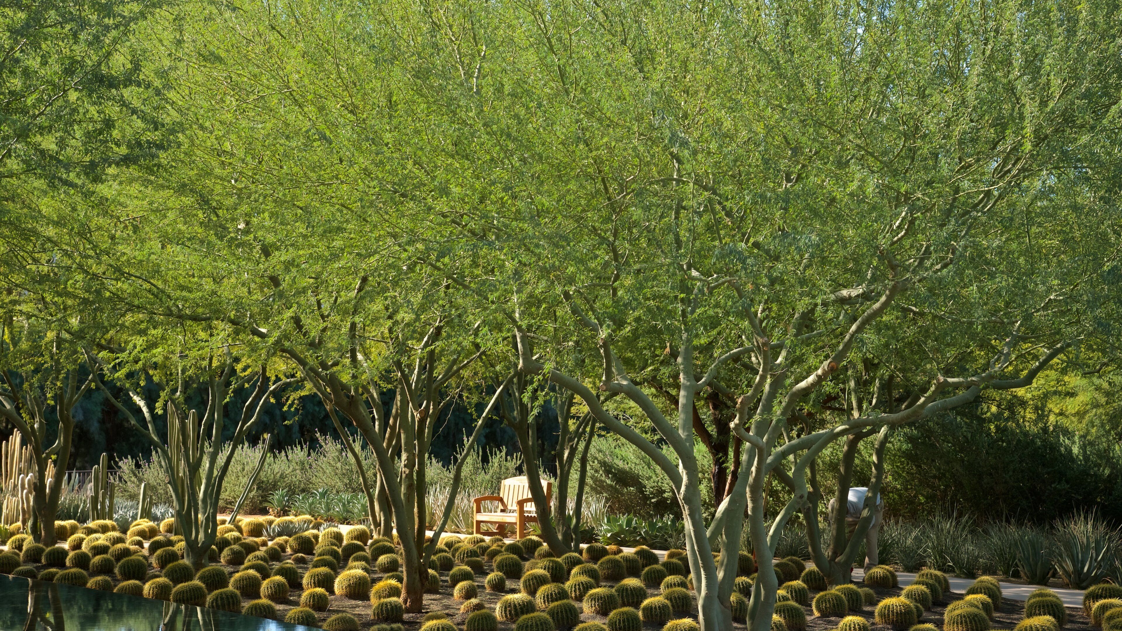 Sunnylands Center and Gardens featuring a park