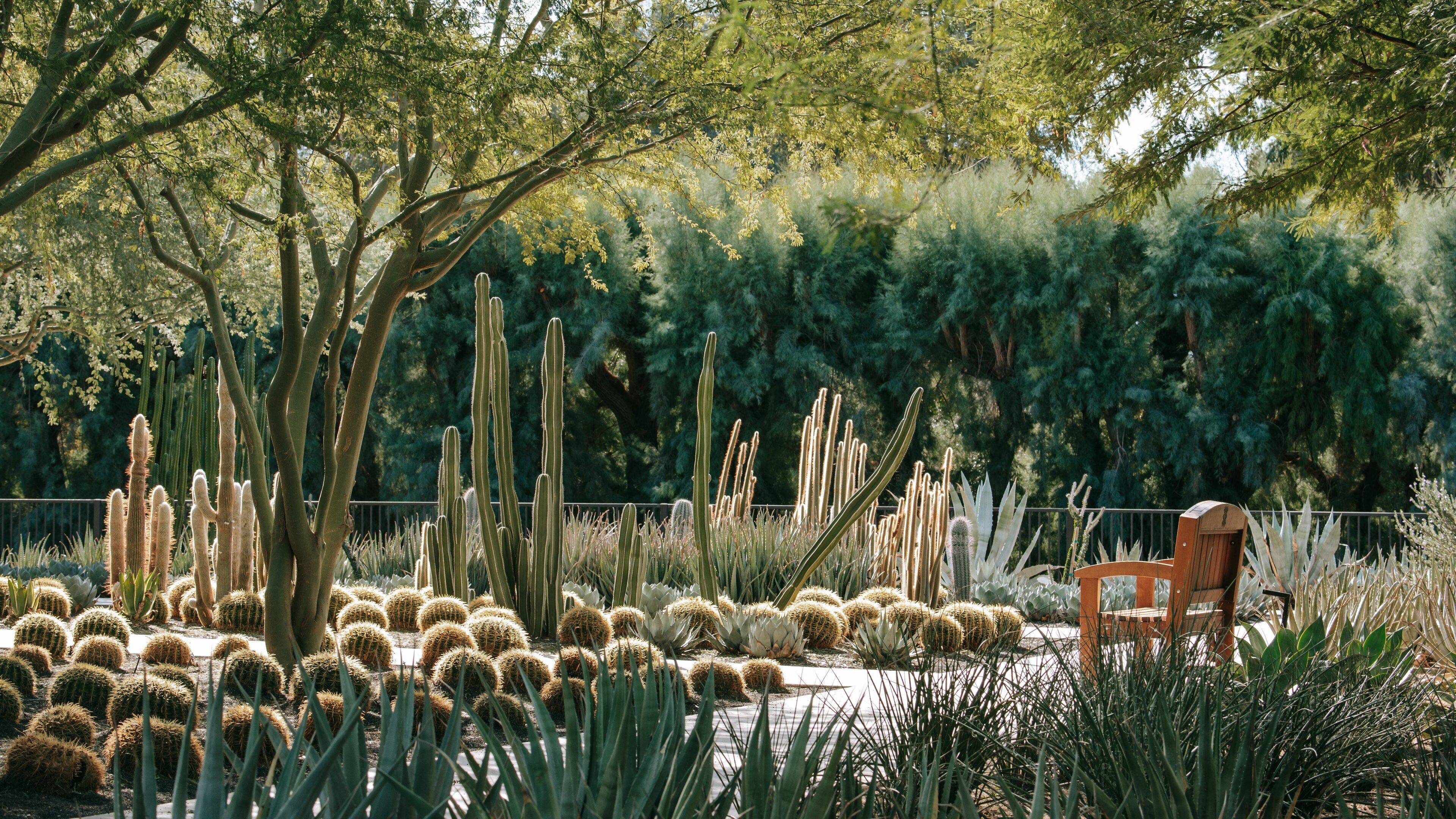 Sunnylands Center and Gardens featuring a garden and desert views