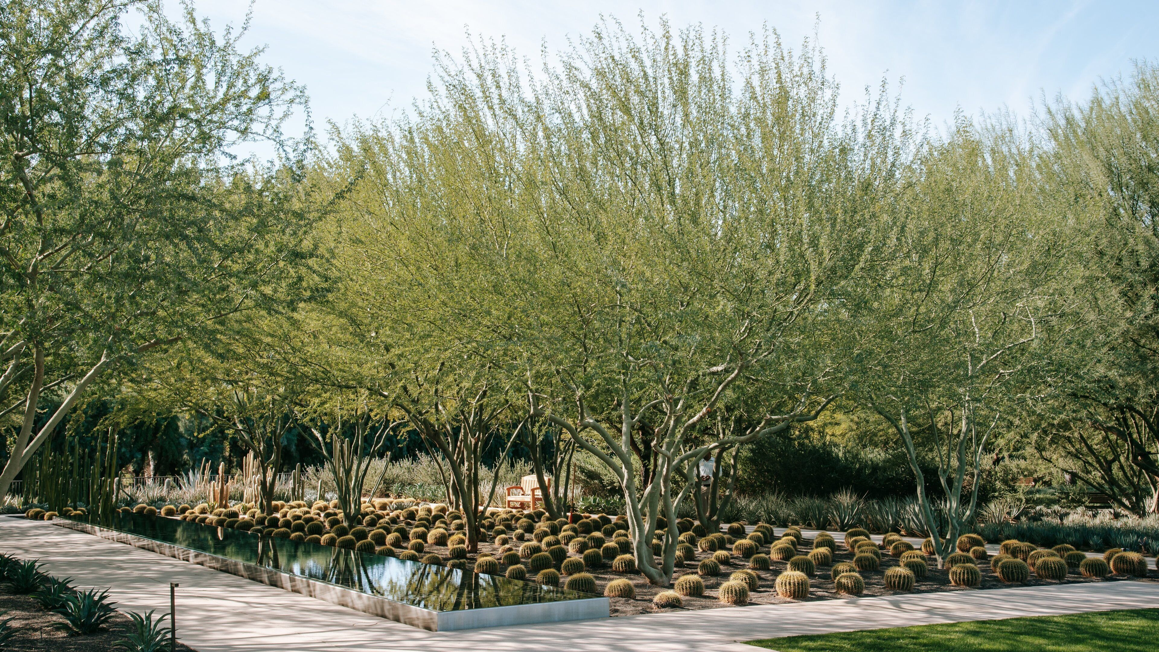 Sunnylands Center and Gardens which includes a garden