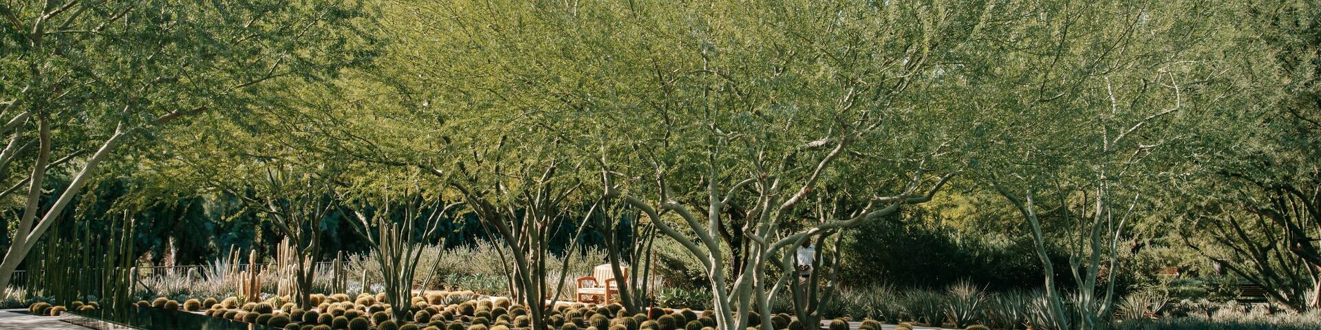 Sunnylands Center and Gardens which includes a garden