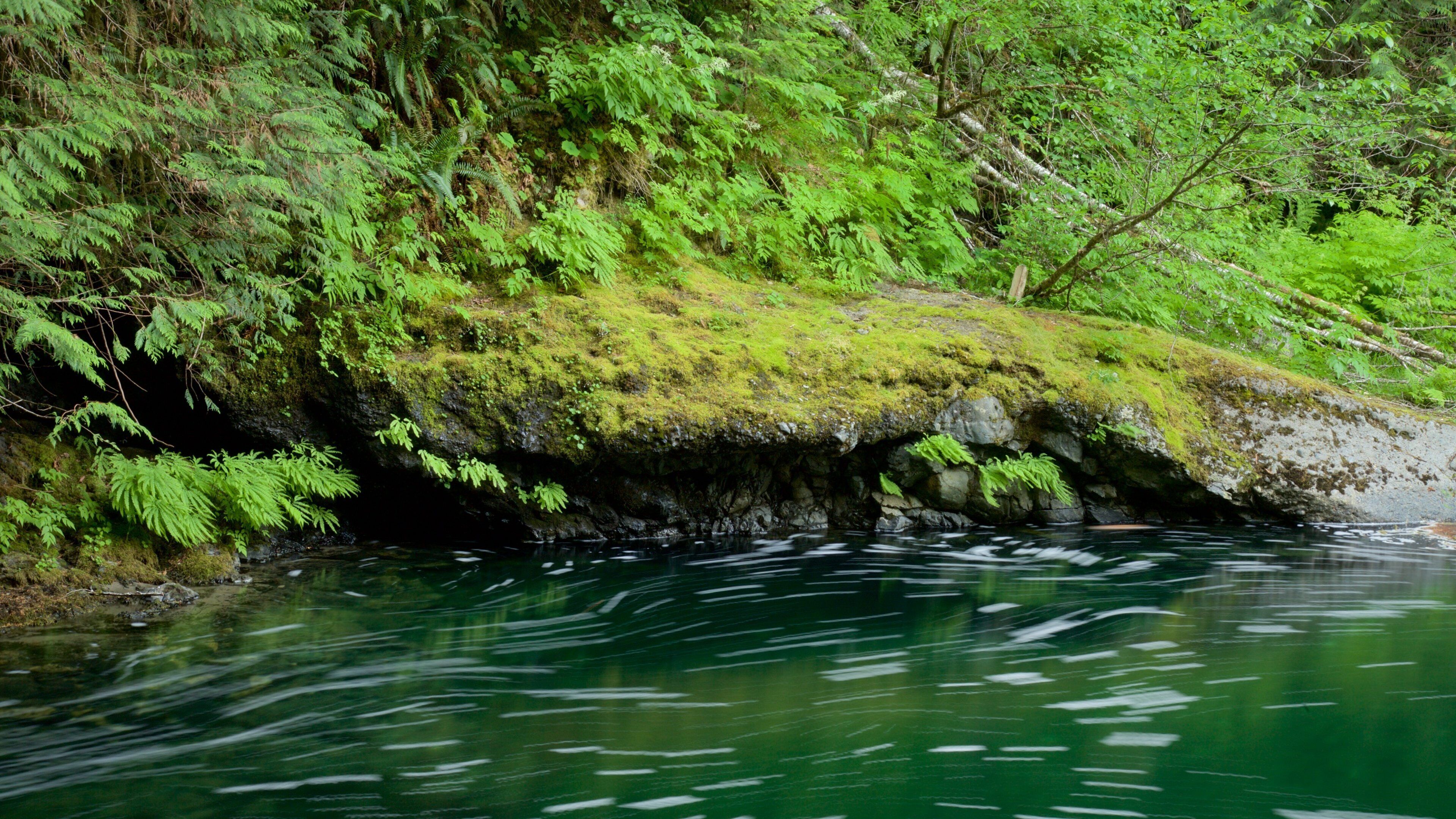 Englishman River Falls Provincial Park showing a river or creek