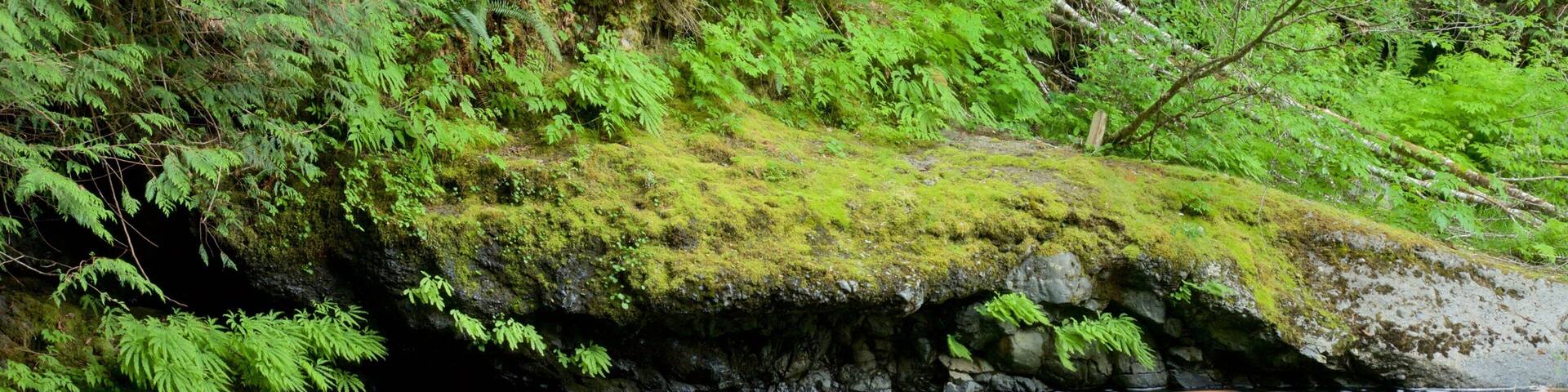 Englishman River Falls Provincial Park showing a river or creek
