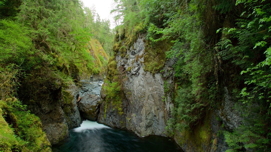 Een smalle canyon met een stromende rivier, omgeven door weelderige groene begroeiing en rotsachtige kliffen.