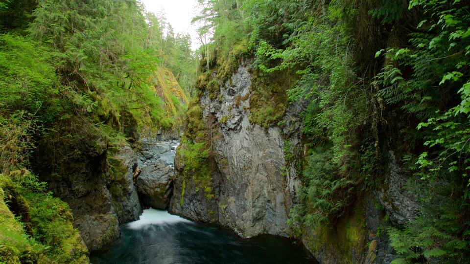 A narrow canyon with a flowing river, surrounded by dense green foliage and rocky cliffs.