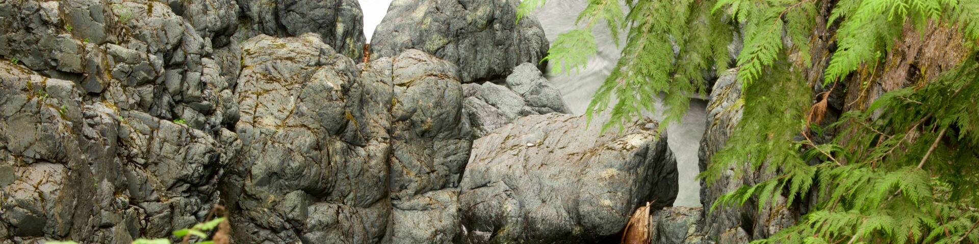 Englishman River Falls Provincial Park featuring a river or creek