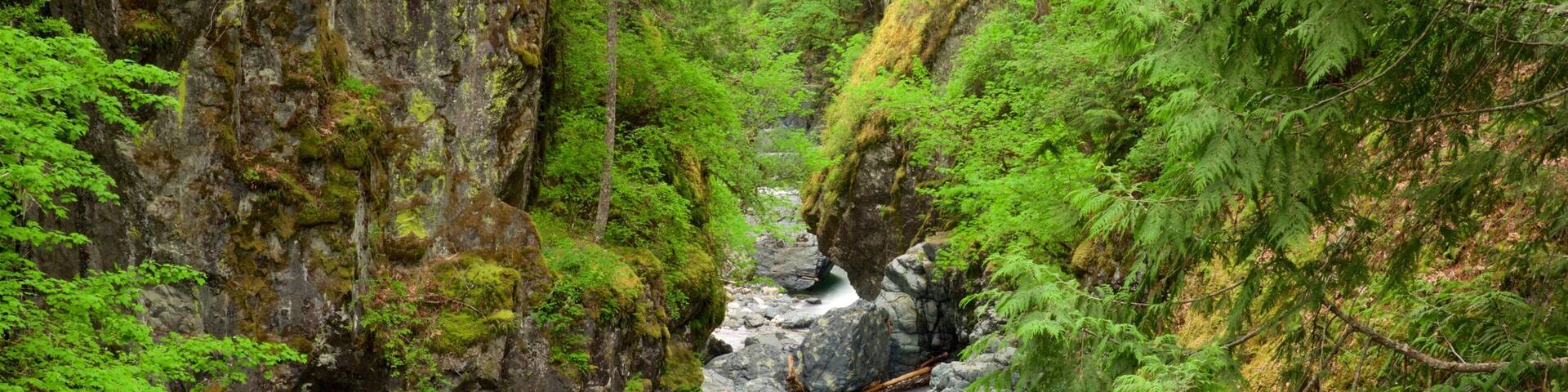 Englishman River Falls Provincial Park which includes a river or creek and forest scenes