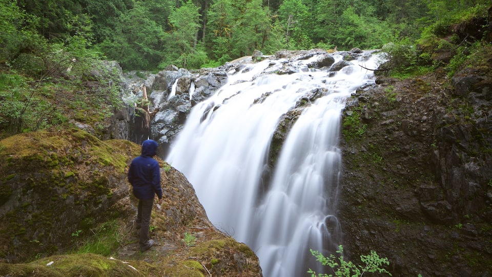 A waterfall in a forested area with a person standing on a moss-covered rock.
