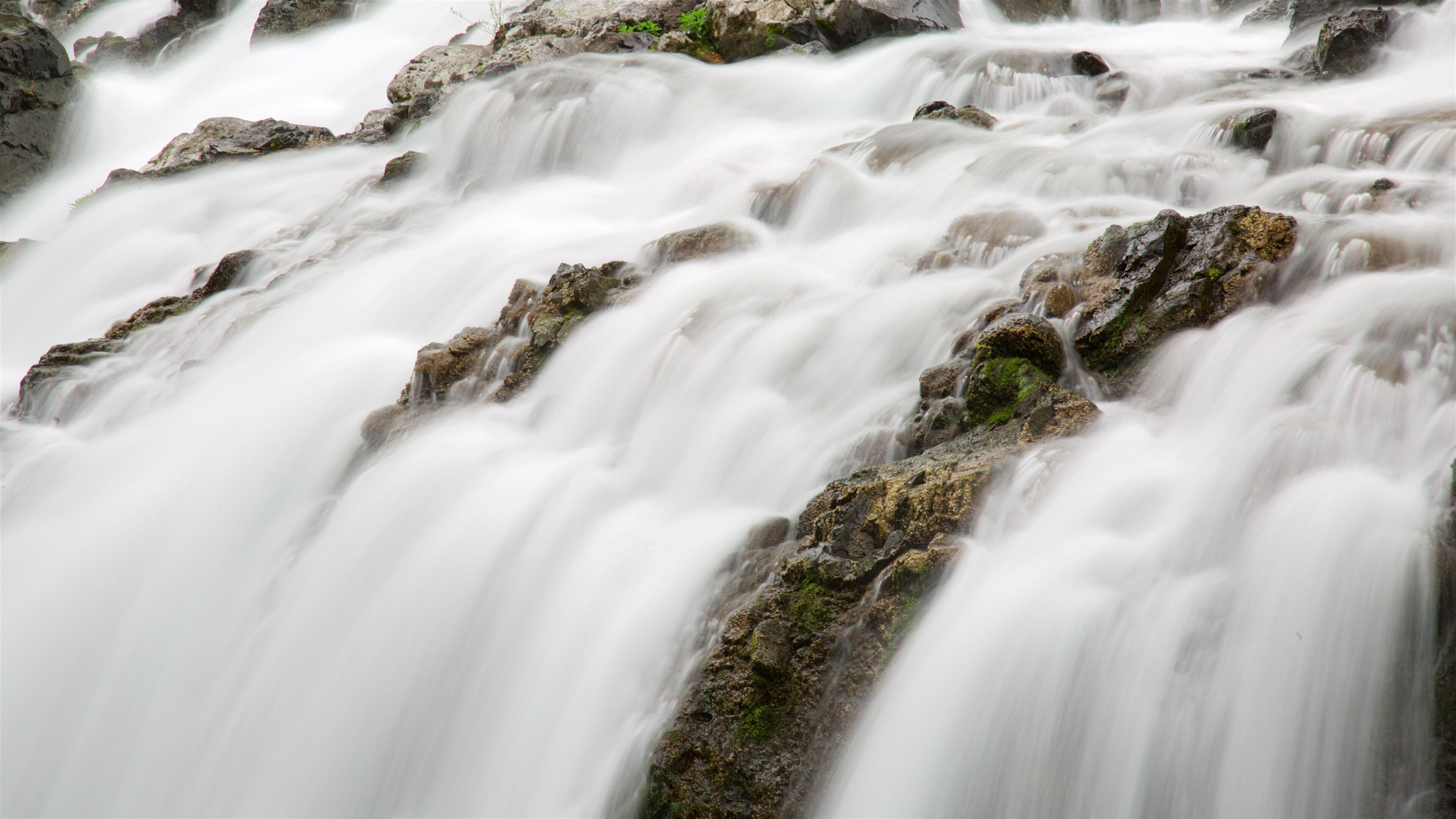Parc provincial Englishman River Falls mettant en vedette une chute