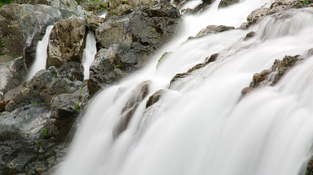 Englishman River Falls Provincial Park showing a cascade