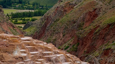 Yacimientos minerales escalonados en un paisaje montañoso con campos verdes al fondo.
