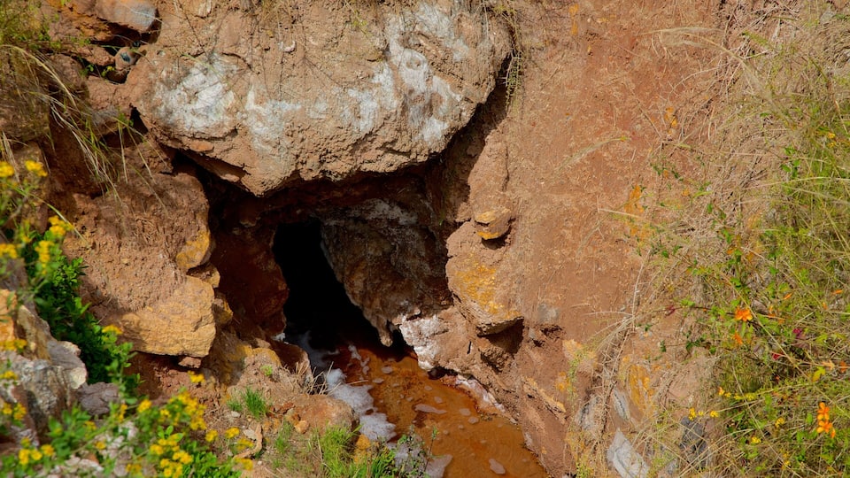 A cave entrance with water flowing into it, surrounded by rocky terrain and sparse vegetation.