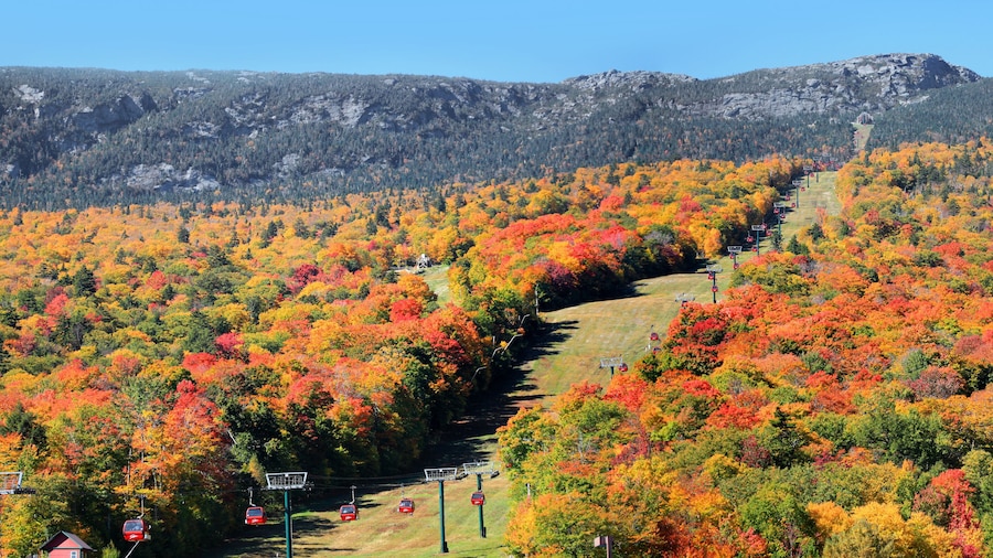 Téléphérique de Stowe