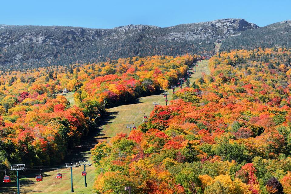 A cable car route winding through a forested mountain area with autumn foliage.