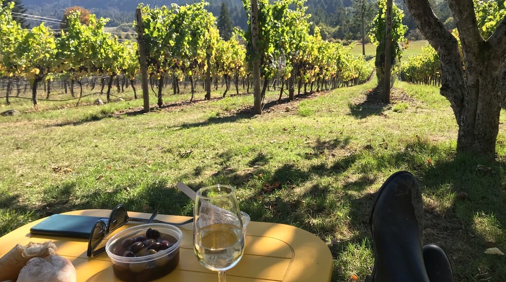 What a delightful afternoon on Salt Spring! #lifeatexpedia