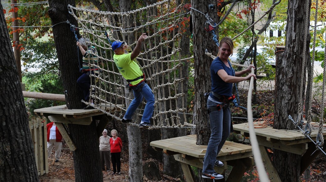 Centre folklorique d\'Ozark mettant en vedette passerelle ou pont suspendu aussi bien que petit groupe de personnes