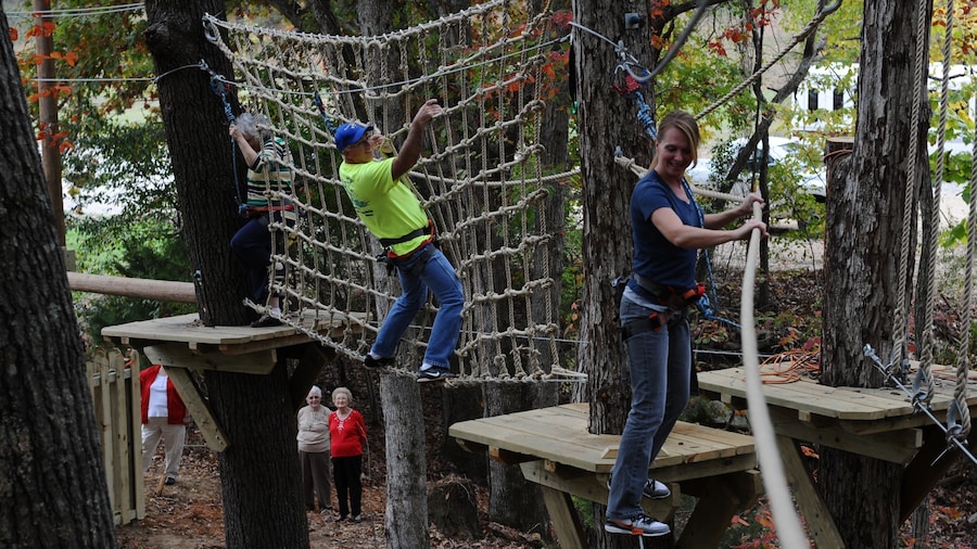Ozark Folk Center featuring a suspension bridge or treetop walkway as well as a small group of people