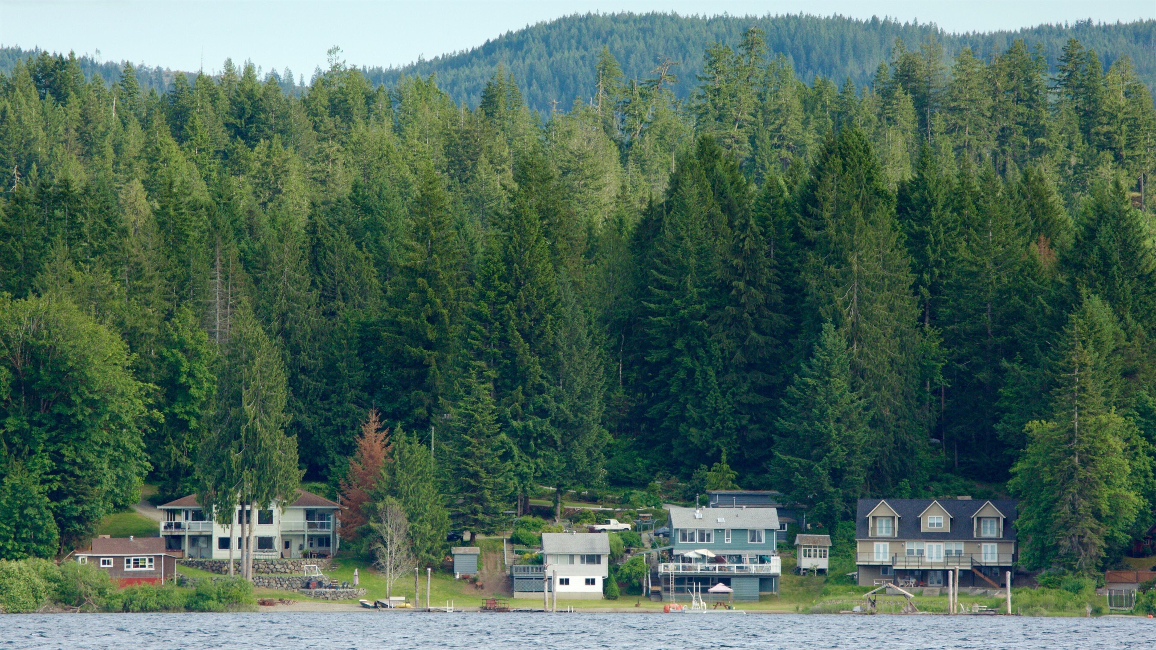 Sproat Lake Petroglyphs showing a lake or waterhole, a small town or village and tranquil scenes