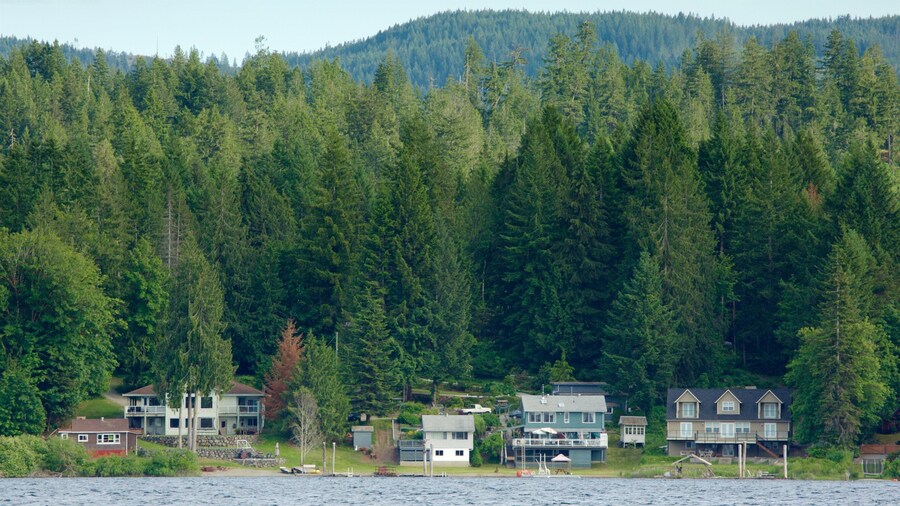 Sproat Lake Petroglyphs showing a lake or waterhole, a small town or village and tranquil scenes