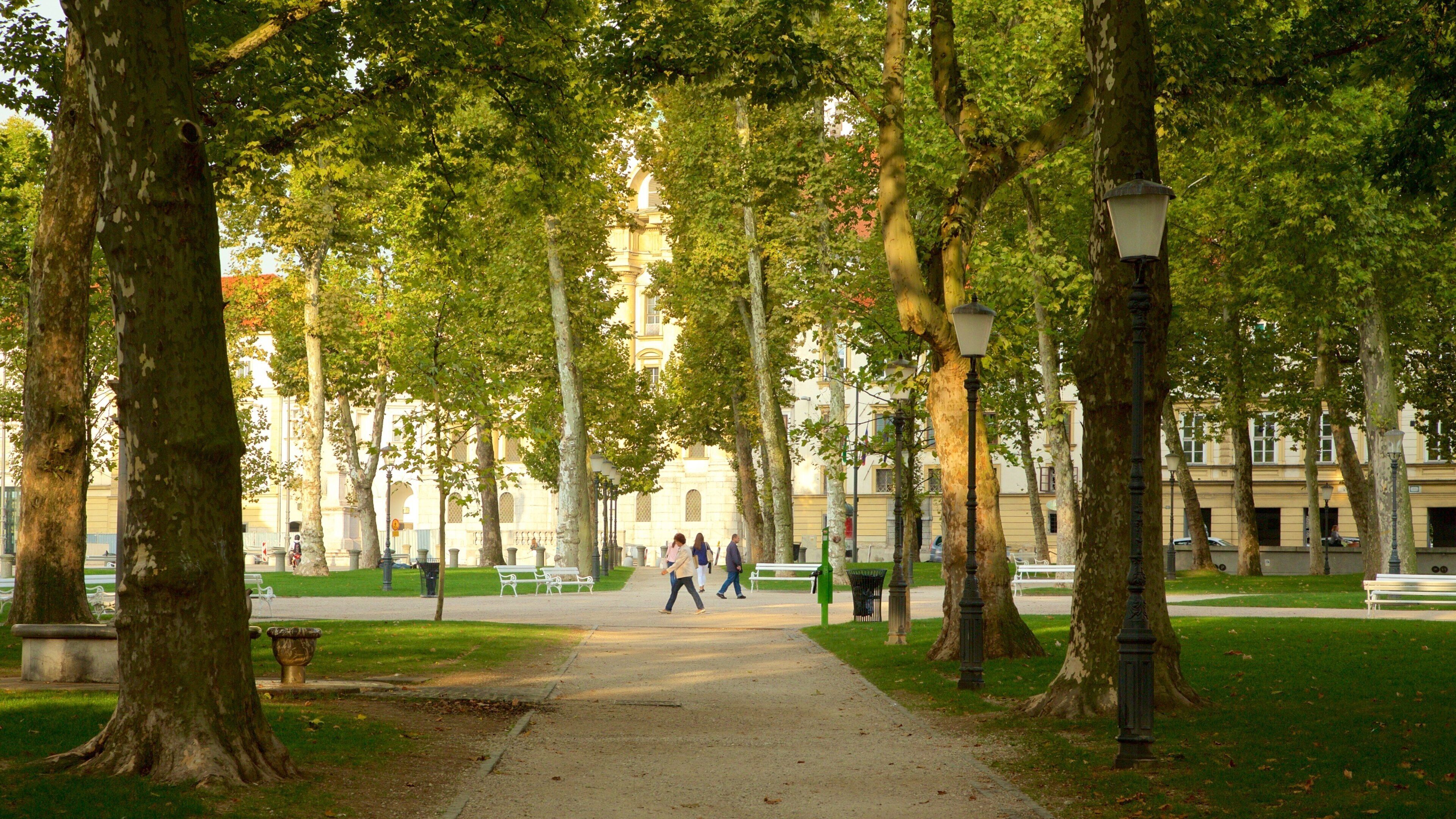 Praça do Congresso que incluye un parque
