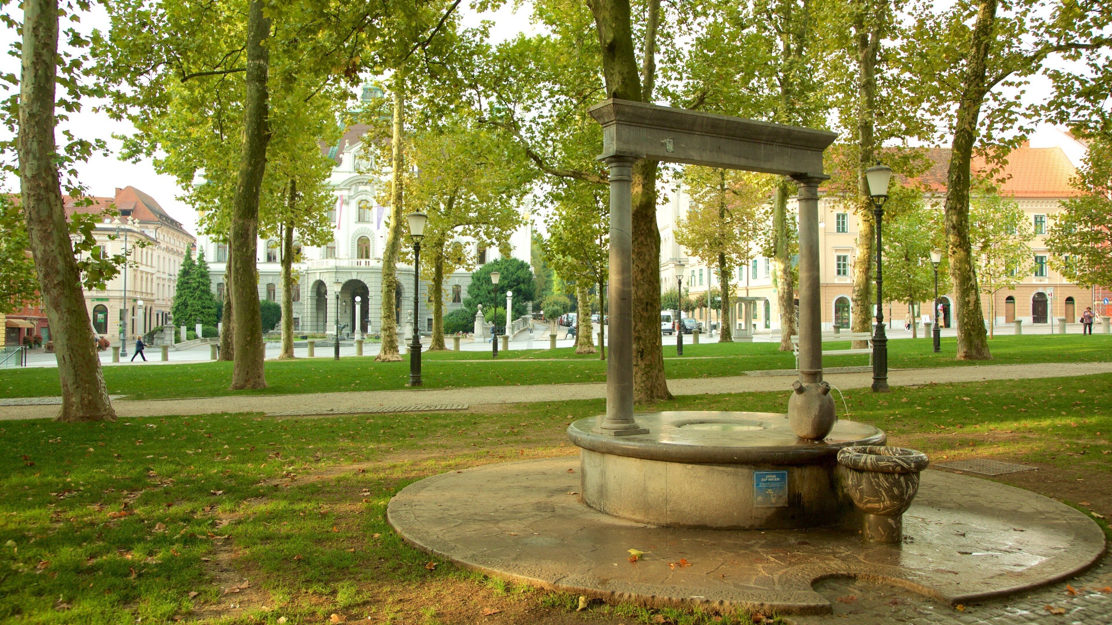 Praça do Congresso que incluye un parque y una fuente