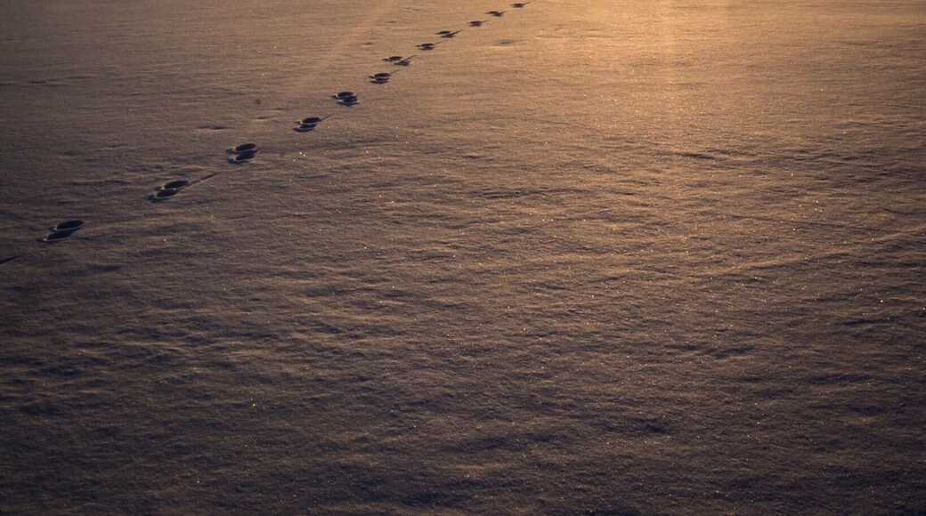 I do love a nice winter sunset in a place I haven’t visited since I was a kid but will be back soon! #bvsexplore