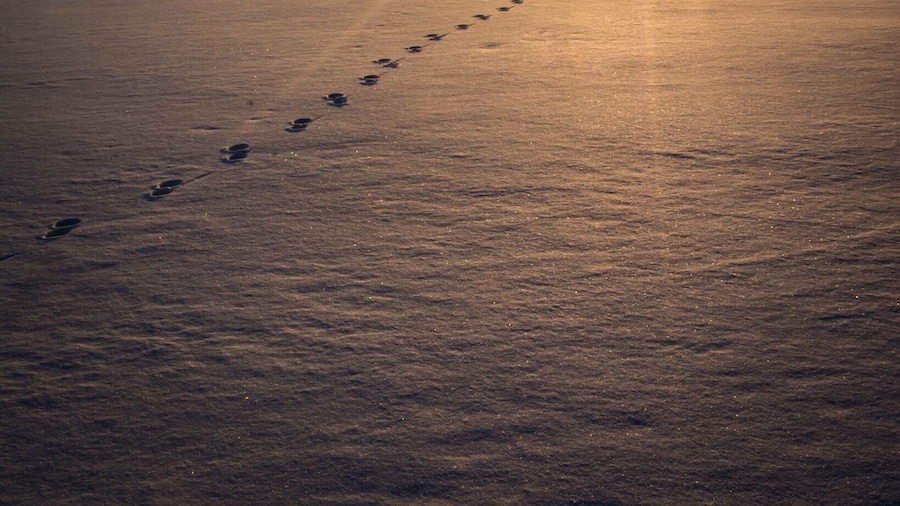 I do love a nice winter sunset in a place I haven’t visited since I was a kid but will be back soon! #bvsexplore