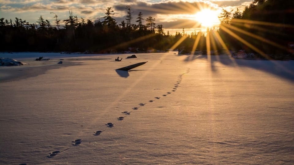 I do love a nice winter sunset in a place I haven’t visited since I was a kid but will be back soon! #bvsexplore