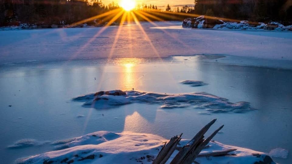 Haven’t been here since I was a kid but living 5 minutes away I’ll be back for sure!