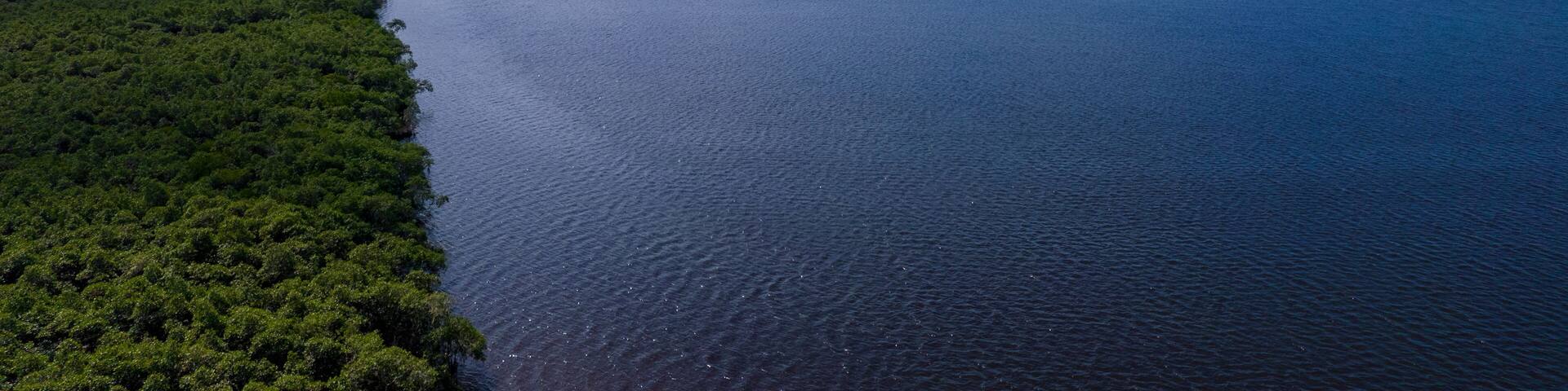 Aerial view of the city of Cananéia. Mangrove and sea at Ilha do Cardoso state park