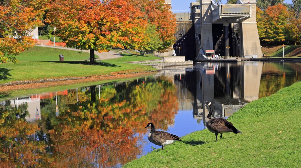 피터버러 리프트 록