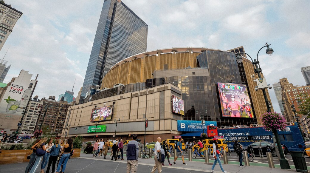 麥迪遜廣場花園