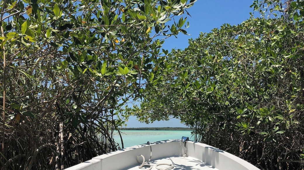 The boat ride after a float in the lagoon. Talk about a perfect day.