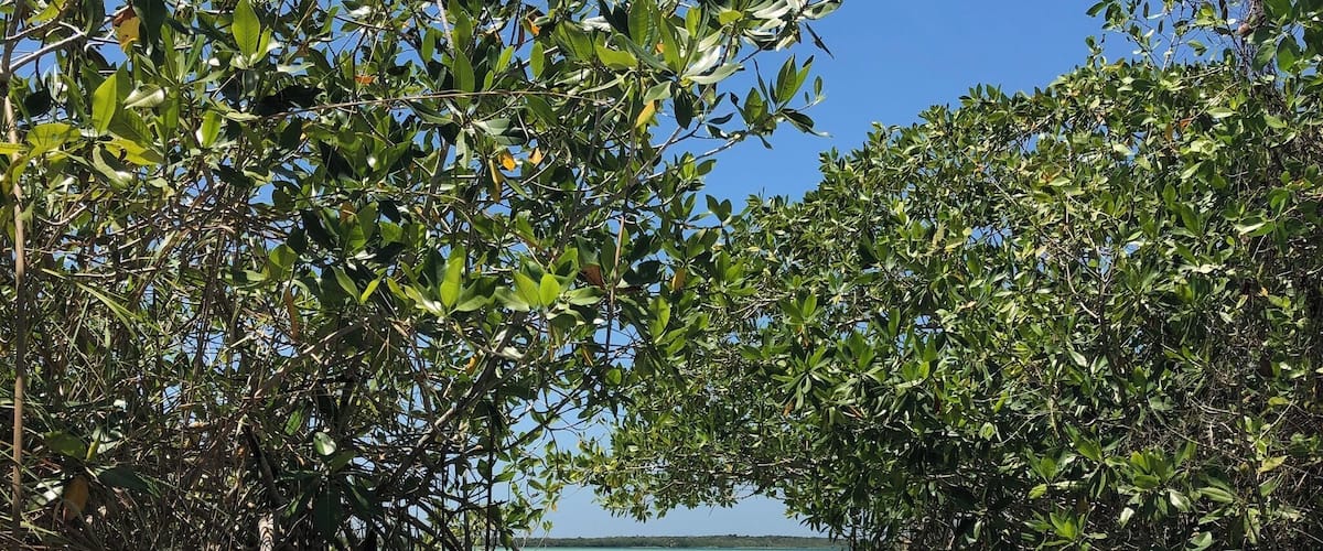 The boat ride after a float in the lagoon. Talk about a perfect day.
