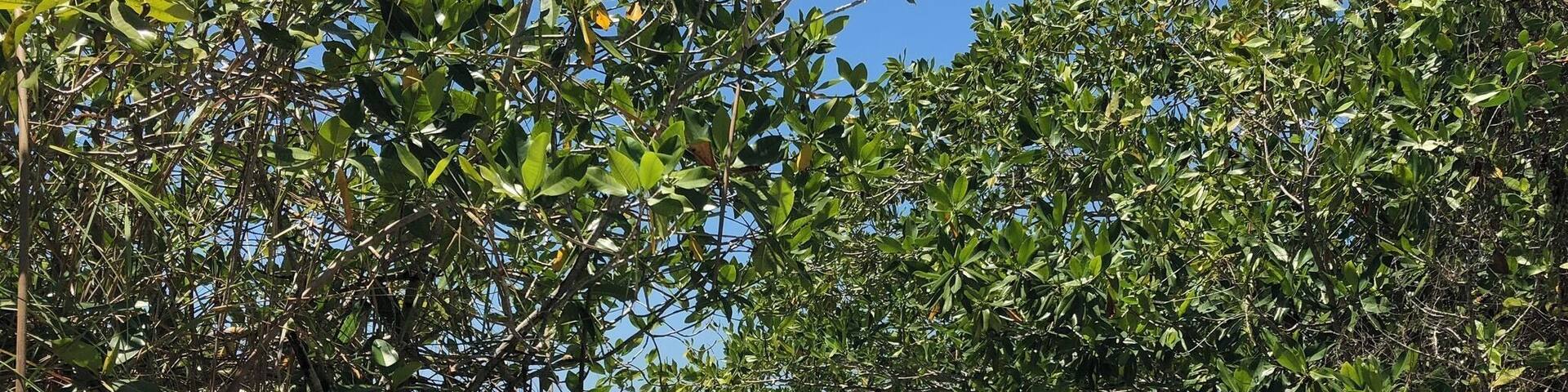 The boat ride after a float in the lagoon. Talk about a perfect day.