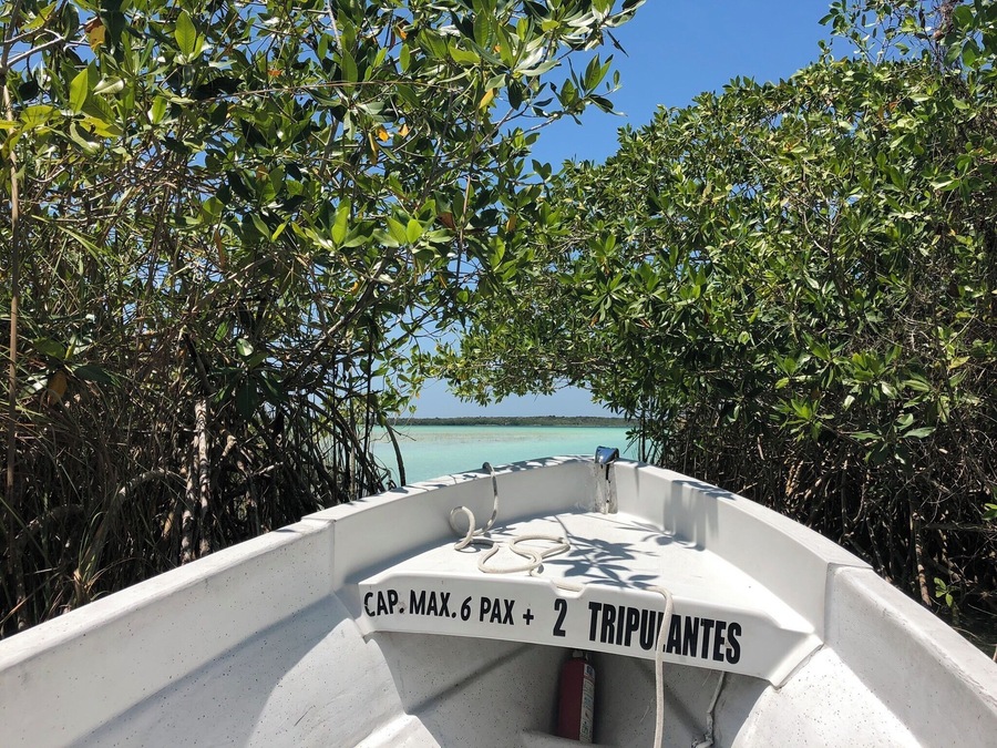 The boat ride after a float in the lagoon. Talk about a perfect day.