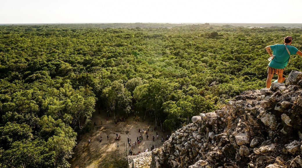 Cobá