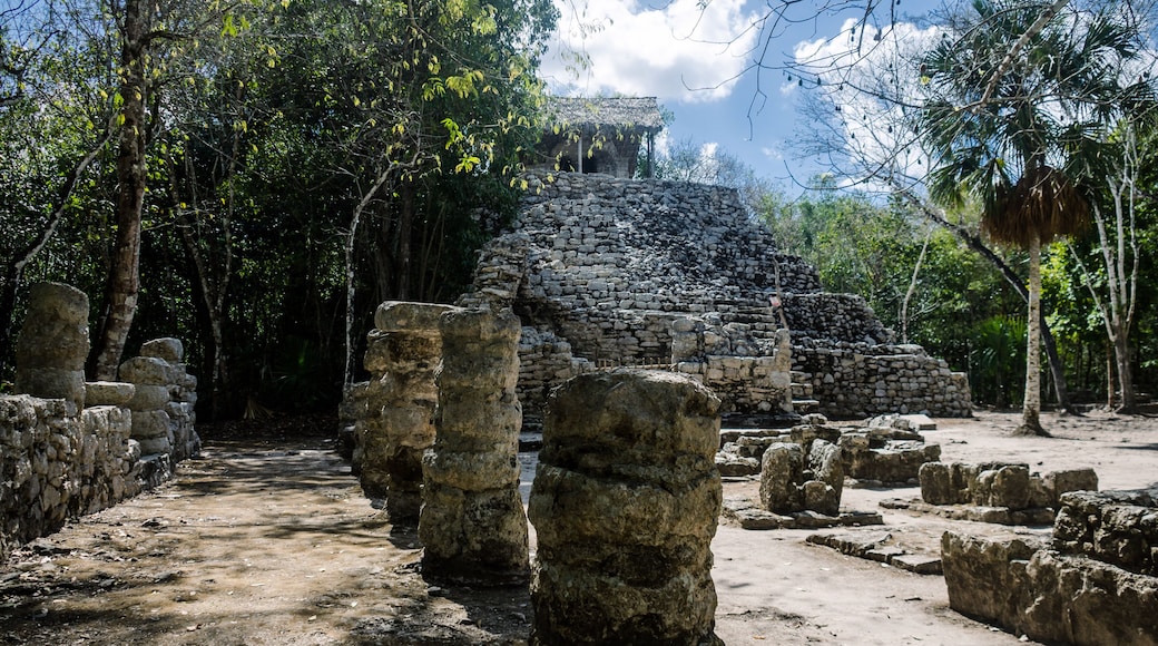 Cobá