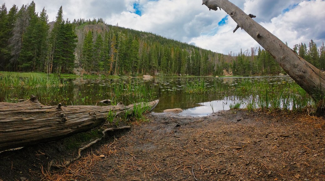 Lily Pad Lake Trailhead