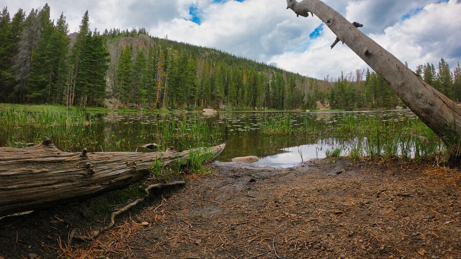 Capçalera del sender de Lily Pad Lake